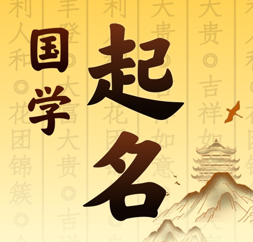 丹棱国学起名 人工起名一对一